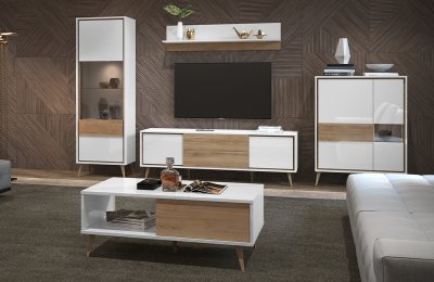 Секция  VIDA